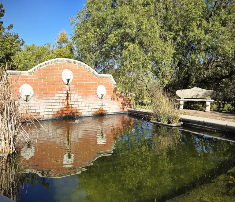 Pond
